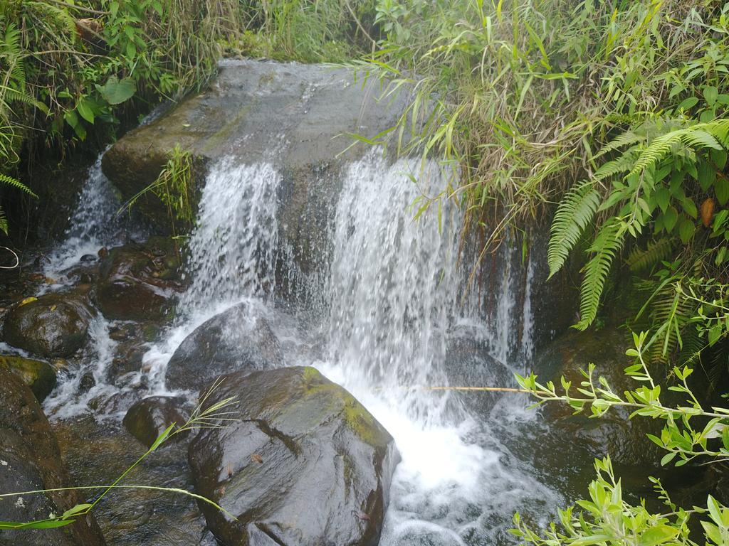 La Herradura Lodge Santa Rosa de Cabal Buitenkant foto